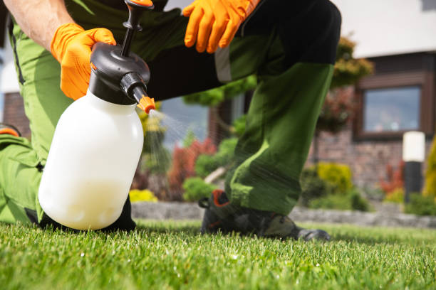 Wasp Removal Services in Elkhart, IN