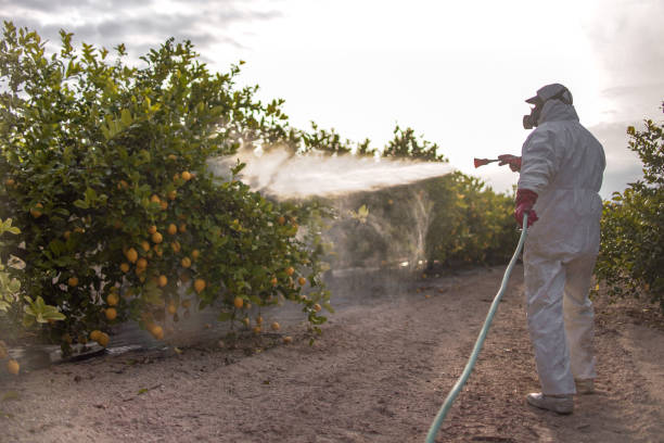 Best Cockroach Control Services  in Elkhart, IN